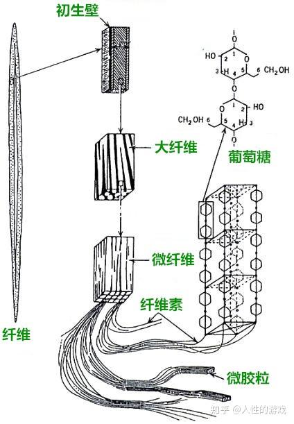北京百瑞极生物科技有限公司