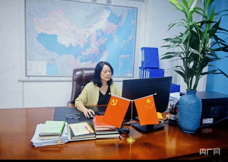 高质量发展看中国|看见乡村里的“她力量”(图4)