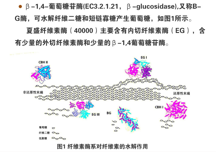 合成生物学+基因编辑！2026生物饲料论坛揭秘技术突破重构产业竞争力