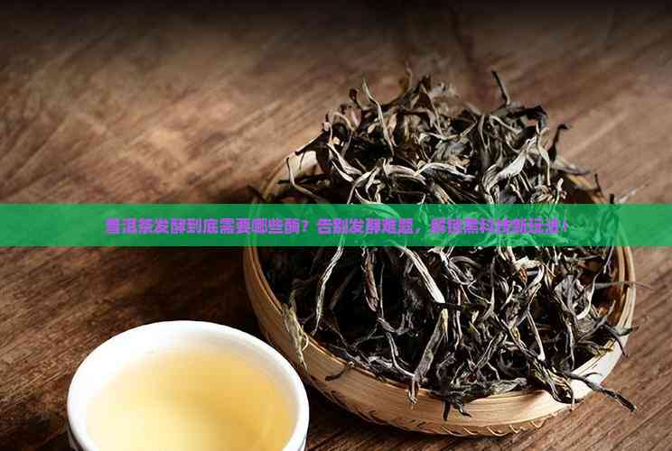 红薯深加工行业市场分析：健康需求驱动下的结构性增长