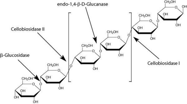 “人工智能+”临沂场景丨当生物制造“芯片”遇上AI