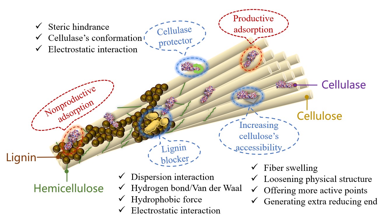 构象调控木质素构建高耐久高输出纤维素摩擦电材料实现自供能传感
