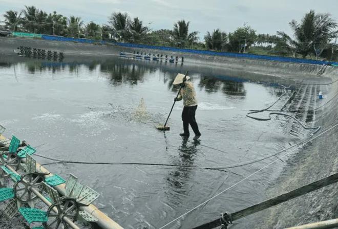 养虾好利器！好处多多但是很多人还都不知道！(图4)