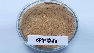 古法新韵匠心守护：庞安时中医药集团重塑中医药现代之路