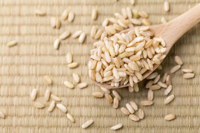 《食品科学》:北京工商大学王静教授等:纤维素酶协同植物乳植杆菌P-8发酵法改善糙米的储藏特性(图1)