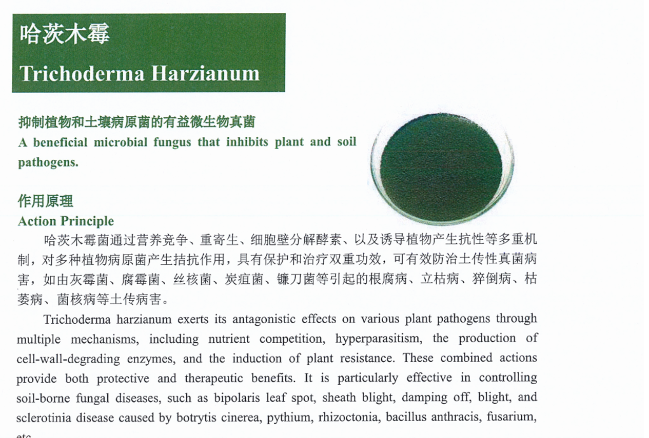 2026年行业前瞻:解析山东米曲霉发酵复合菌技术实力派(图1)