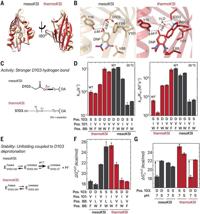 一文读懂啤酒酿造用酶制剂的行业现状与未来(图1)