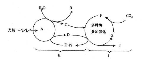 上海科学家用“地沟油”研发出100%可持续航空燃料打造高端产业链闭环