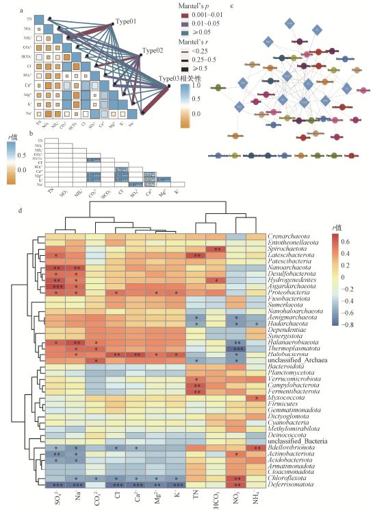 新书推荐丨《吐哈盆地抗逆微生物资源多样性与应用潜力评价(图2)