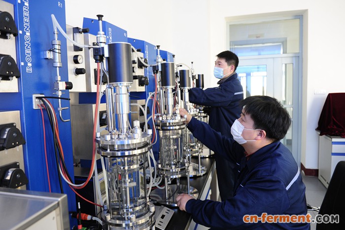 响应面法优化纤维素酶发酵工艺