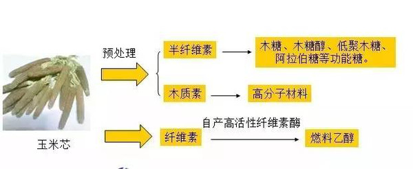 废弃的甘蔗渣印度当垃圾烧掉中国怎么就拿它赚了几百亿
