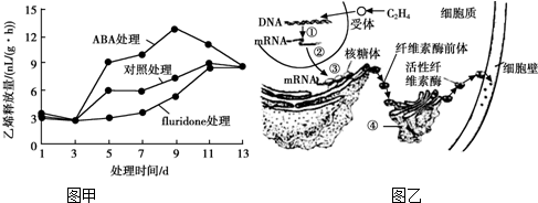 纳米纤维素作用机理