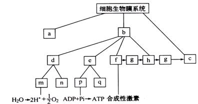 利好来了!一批A股公司业绩预喜